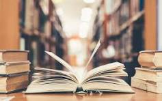 Literature Development Systems cover